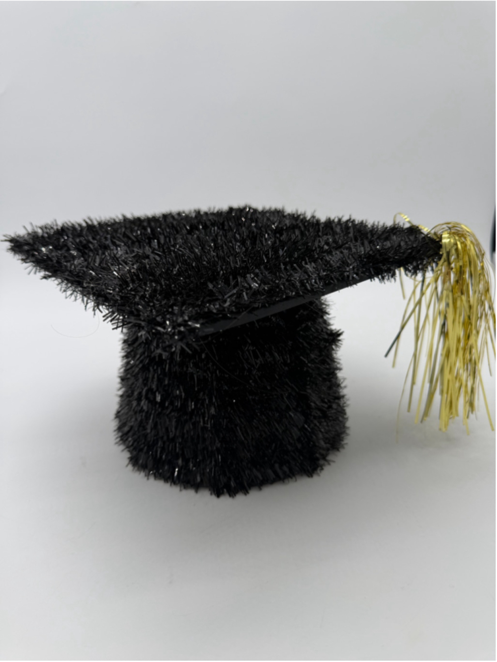 Graduation Cap Decor / Photo Prop